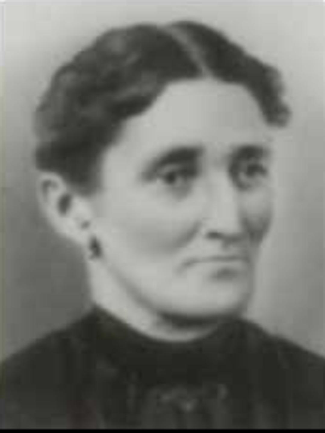 Eliza Adams (1847 - 1913) Profile